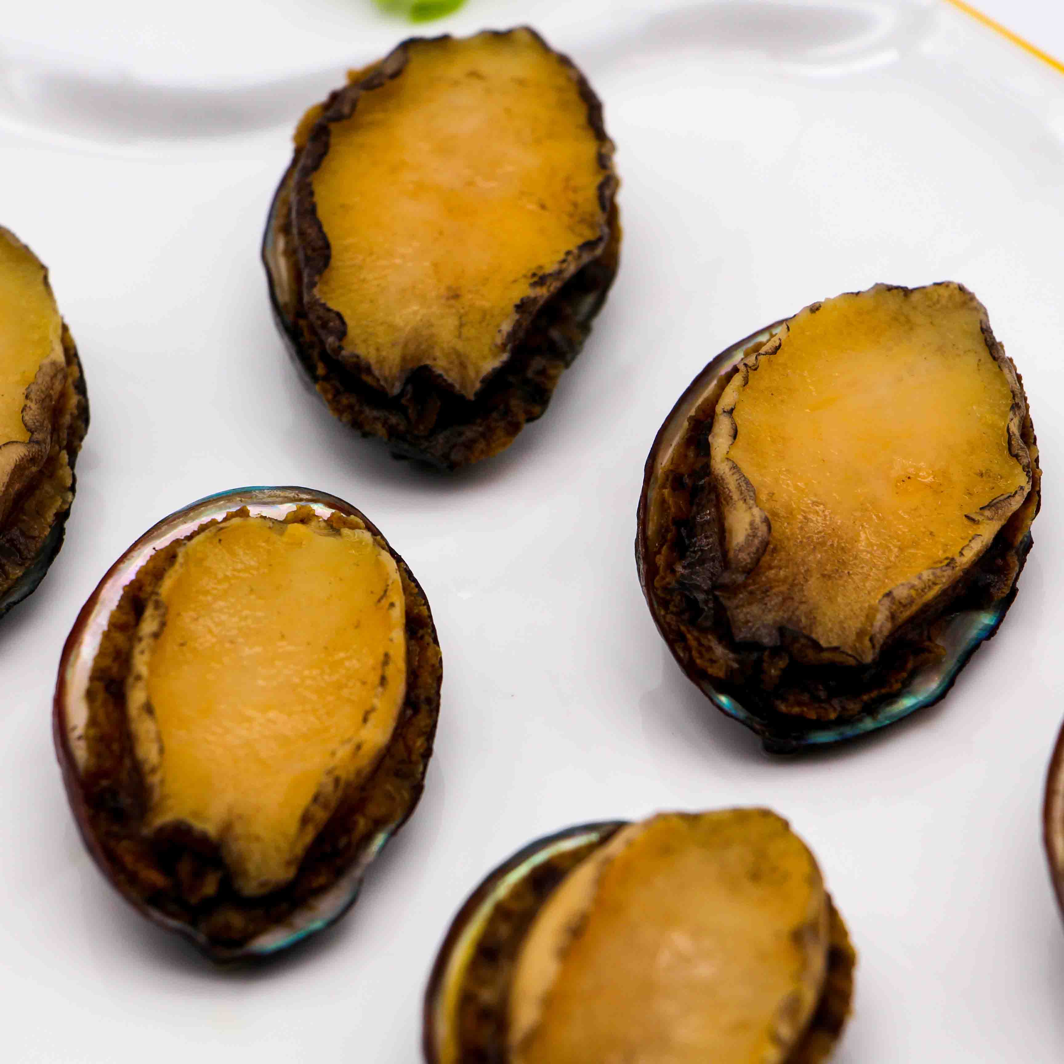 Frutti di mare di abalone bolliti congelati, sgusciati e rimossi i visceri