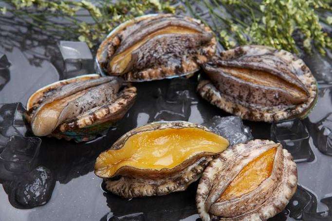 La patria delle prelibatezze marine: produttore professionale di abalone nel Fujian, Cina